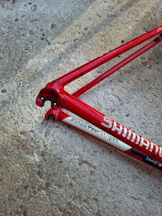 Cuadro Trek Émonda team issue