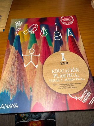 Educación Plástica, Visual y Audiovisual. Nivel...