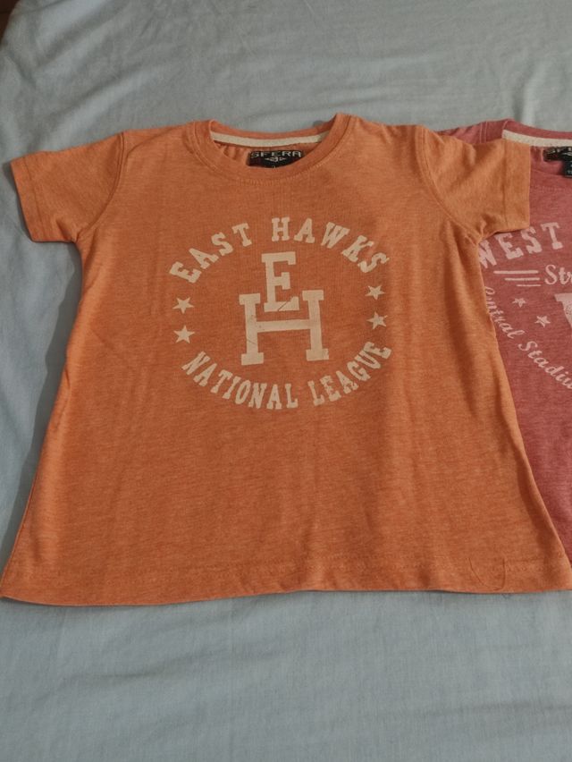 2 Camisetas niño algodón