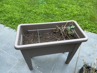 Mini invernadero para huerto