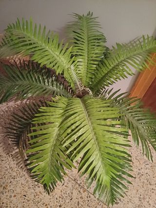 Planta artificial mediana