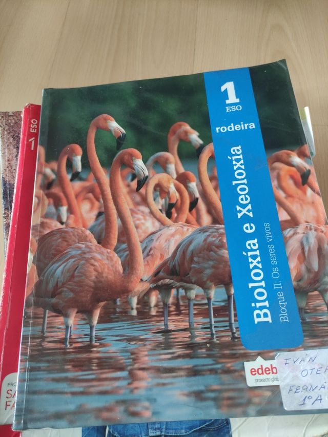 BIOLOXÍA E XEOLOXÍA 1