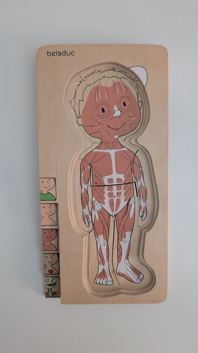 Puzzle cuerpo humano - madera Belduc