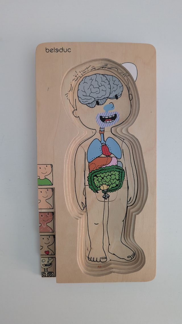 Puzzle cuerpo humano - madera Belduc
