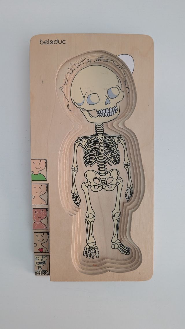 Puzzle cuerpo humano - madera Belduc