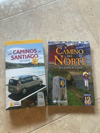 Caminos de Santiago en coche y Camino del Norte.
