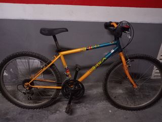 Bicicleta montaña Orbea Orion