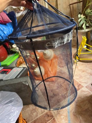 Red de pesca 