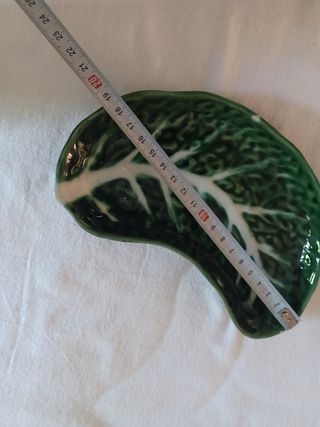 Azeitoneira Folha Couve - Verde e Branca