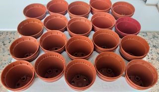 Mini Macetas Germinación - Plástico