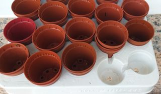 Mini Macetas Germinación - Plástico