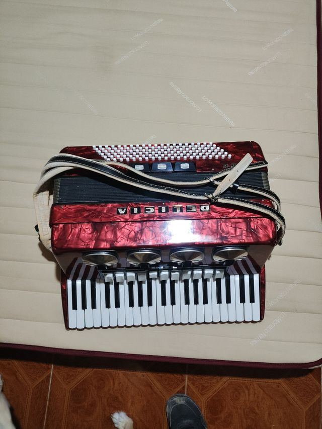 Acordeón Delicia Rojo