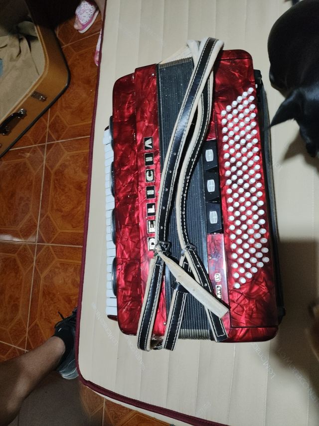 Acordeón Delicia Rojo