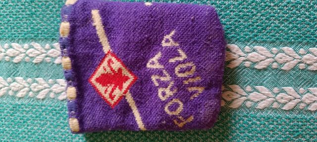 Salvadanaio Fiorentina Viola