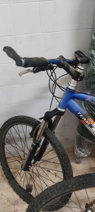 Bicicleta montaña vintage