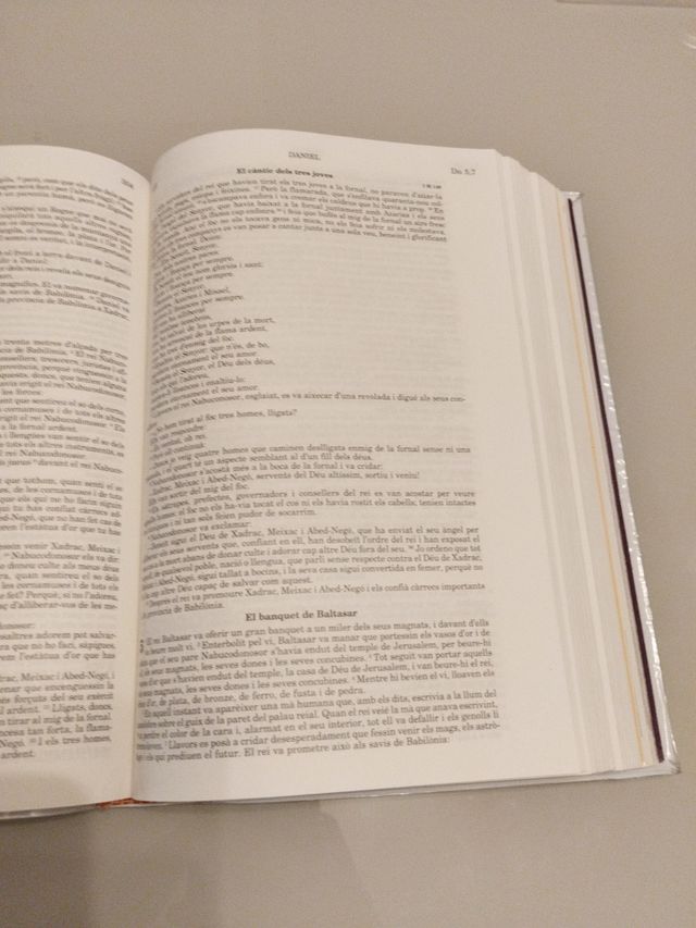 La Bíblia didàctica