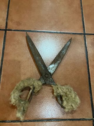 Tijeras antiguas de esquilar
