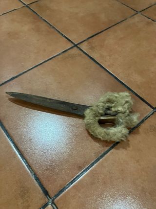 Tijeras antiguas de esquilar