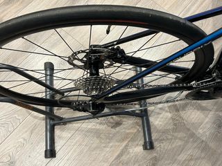 Specialized Roubaix (talla 54)