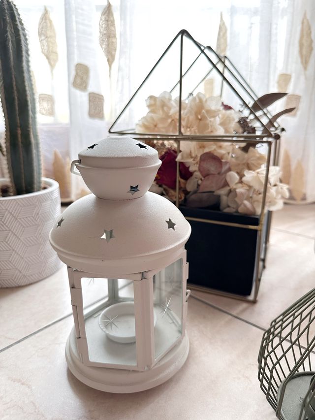 Set 4 Oggetti decorativi per la casa o il giardino