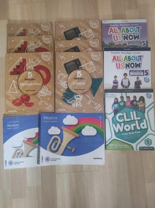 Libros de texto Colegio Camaretas 5 Curso