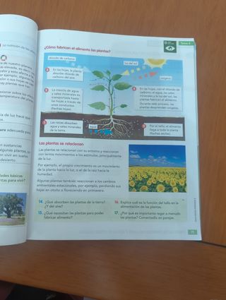 CONOCIMIENTO DEL MEDIO 3 (COMUNIDAD ZOOM)