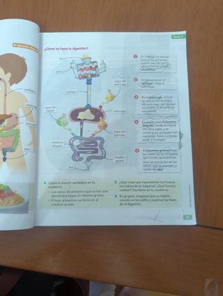 CONOCIMIENTO DEL MEDIO 3 (COMUNIDAD ZOOM)