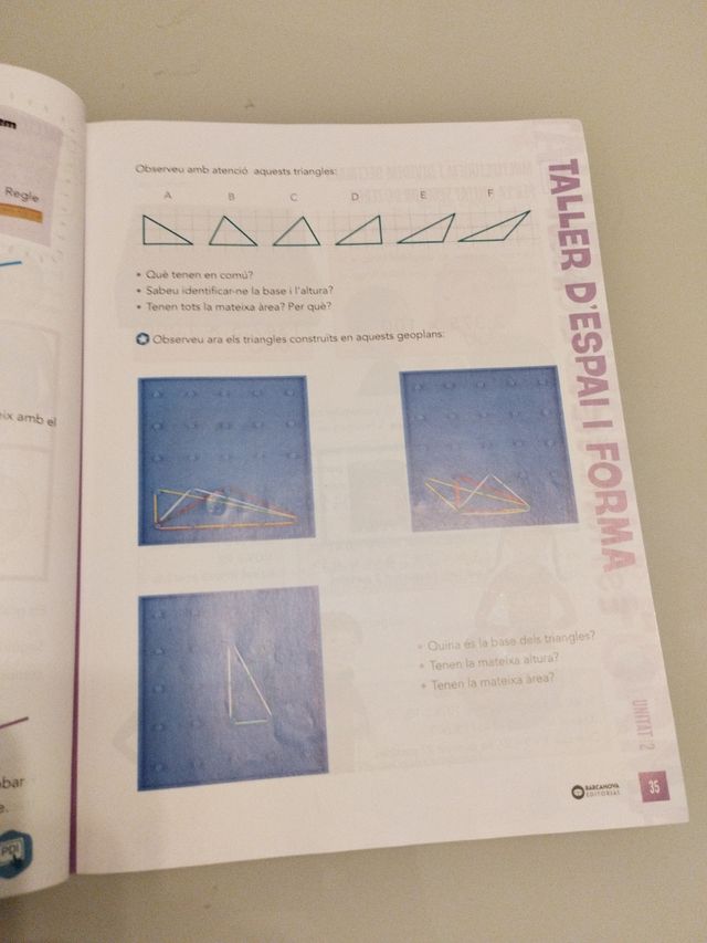 Raona 6. Matemàtiques. Coneixements