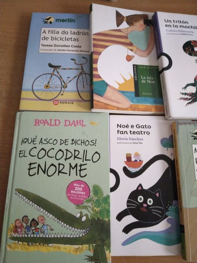 Lote 6 libros primaria