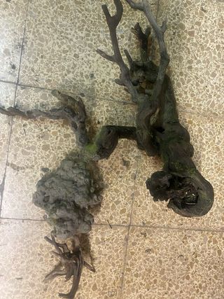 Acuario 60L -pecera-