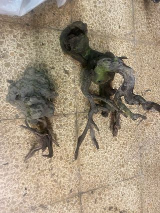 Acuario 60L -pecera-