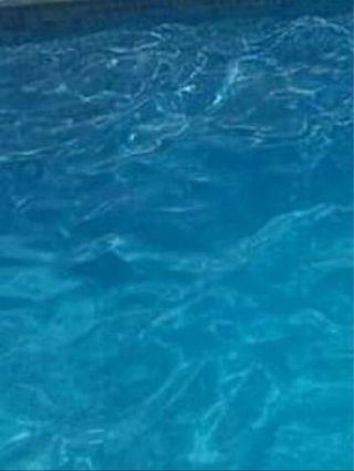 Acciones piscina recreativa Santa Mónica