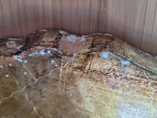 Vassoio rotondo fiorentino