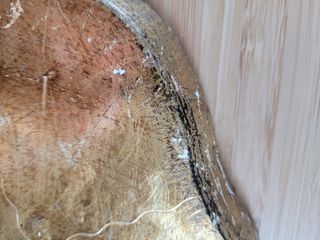 Vassoio rotondo fiorentino