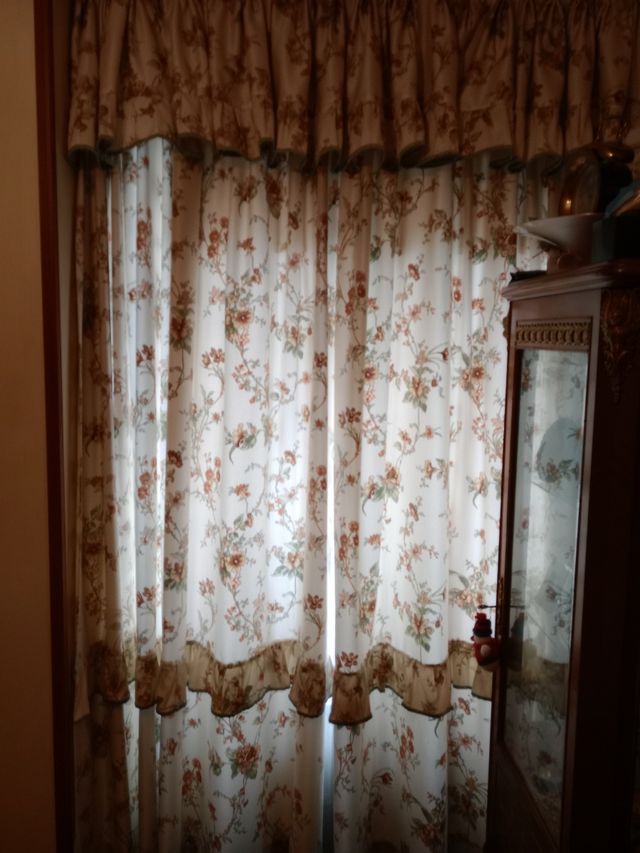 2 Cortinas estampadas beige con Bando