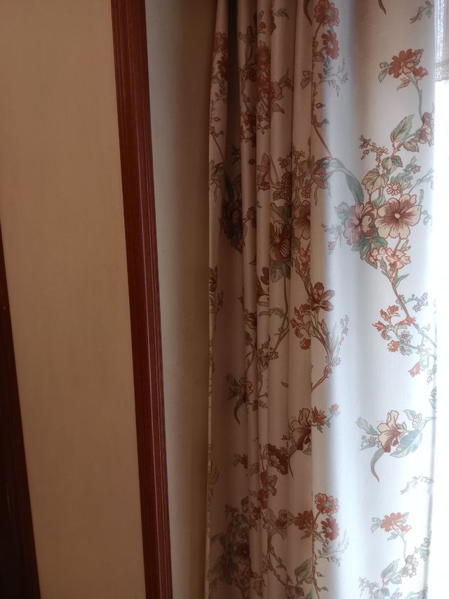 2 Cortinas estampadas beige con Bando