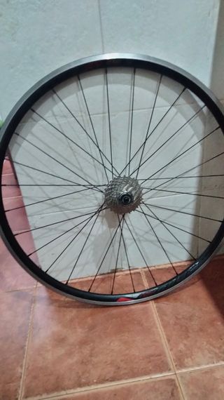 Ruedas carretera Felt Alexrims 11v