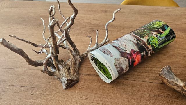 Acquario Tetra 54 litri