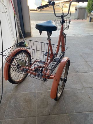 Bicicleta triciclo Monty