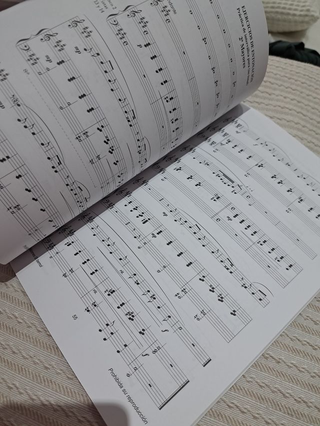 Lenguaje musical melódico V