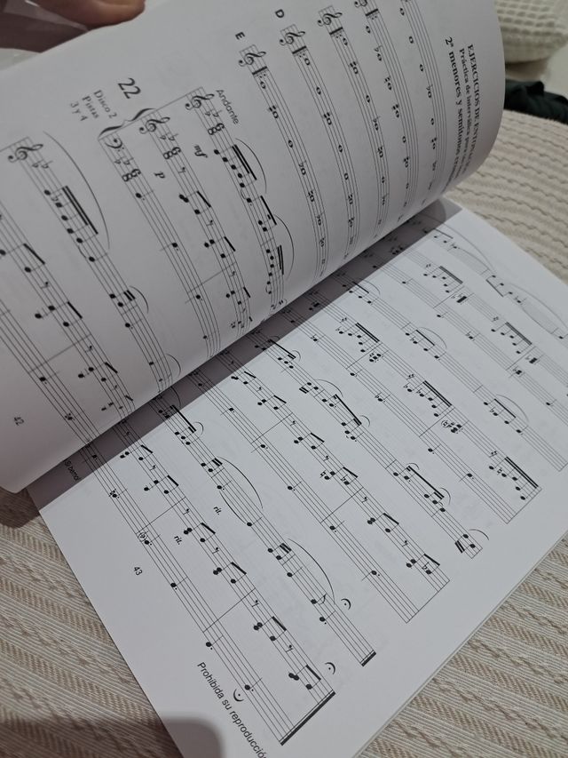 Lenguaje musical melódico V