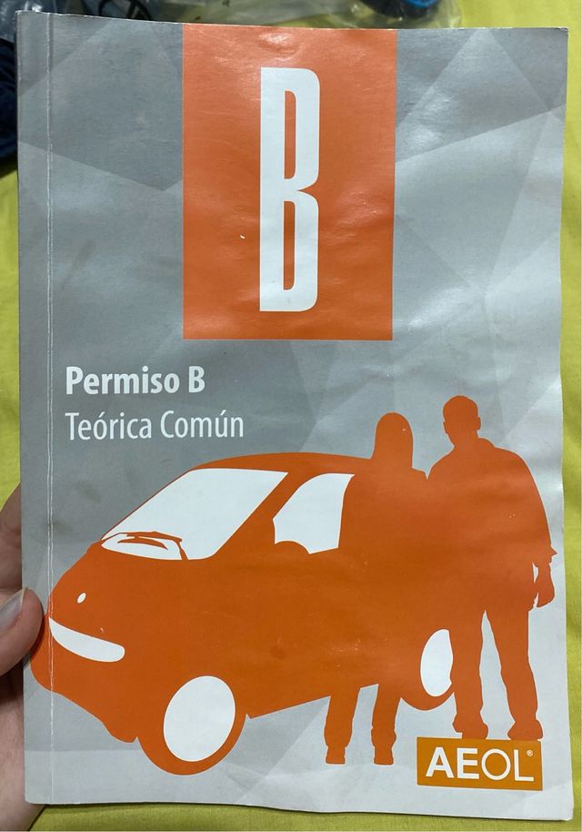 MANUAL TEORICA COMUN - PERMISO B (Spanish Edition)
