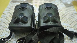 Cámaras silvestres  (2)