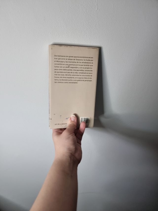 Bendita calamidad - Miguel Mena