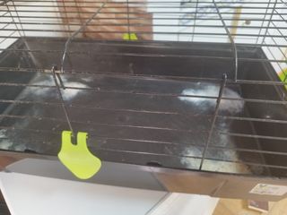 Jaula roedores grande negra, falta el comedero