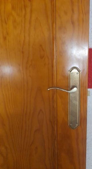 Puerta interior madera maciza