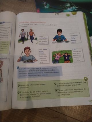 Ciencias da Natureza 4º Primaria (Galicia)