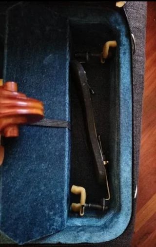 Viola Gara GSVA - 100 de 15"