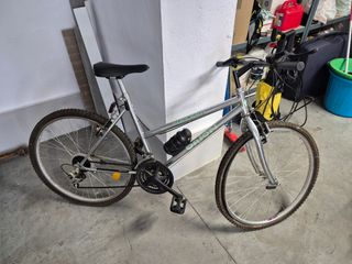 Bicicleta Orion Dirt Pro