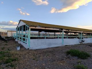 Granja terneros alquiler